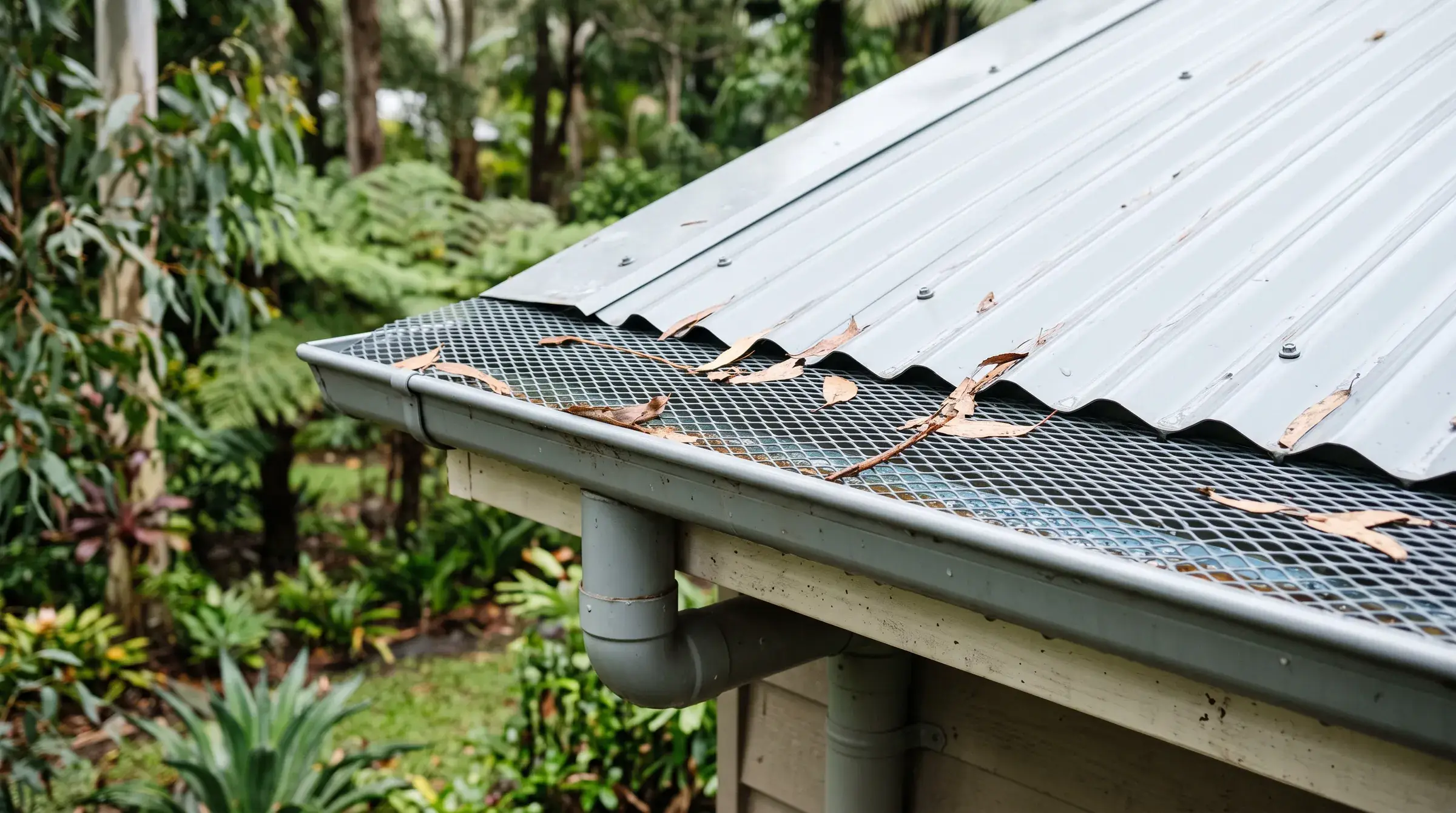 Illustrative: mesh gutter guard fitted over a gutter with dry leaves sitting on top