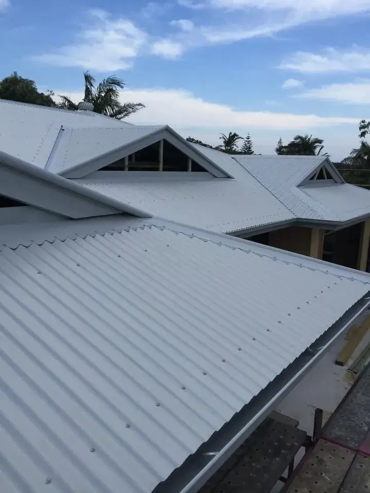 Light-coloured corrugated roof with gable vents and palm trees beyond