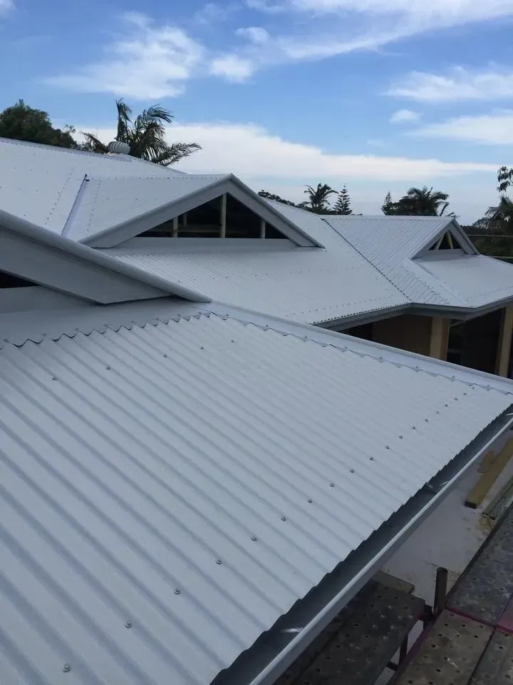 Light-coloured corrugated roof with gable vents and palm trees beyond